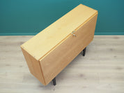 Ash_cabinet_Danish_design_from_1970s_production_Denmark