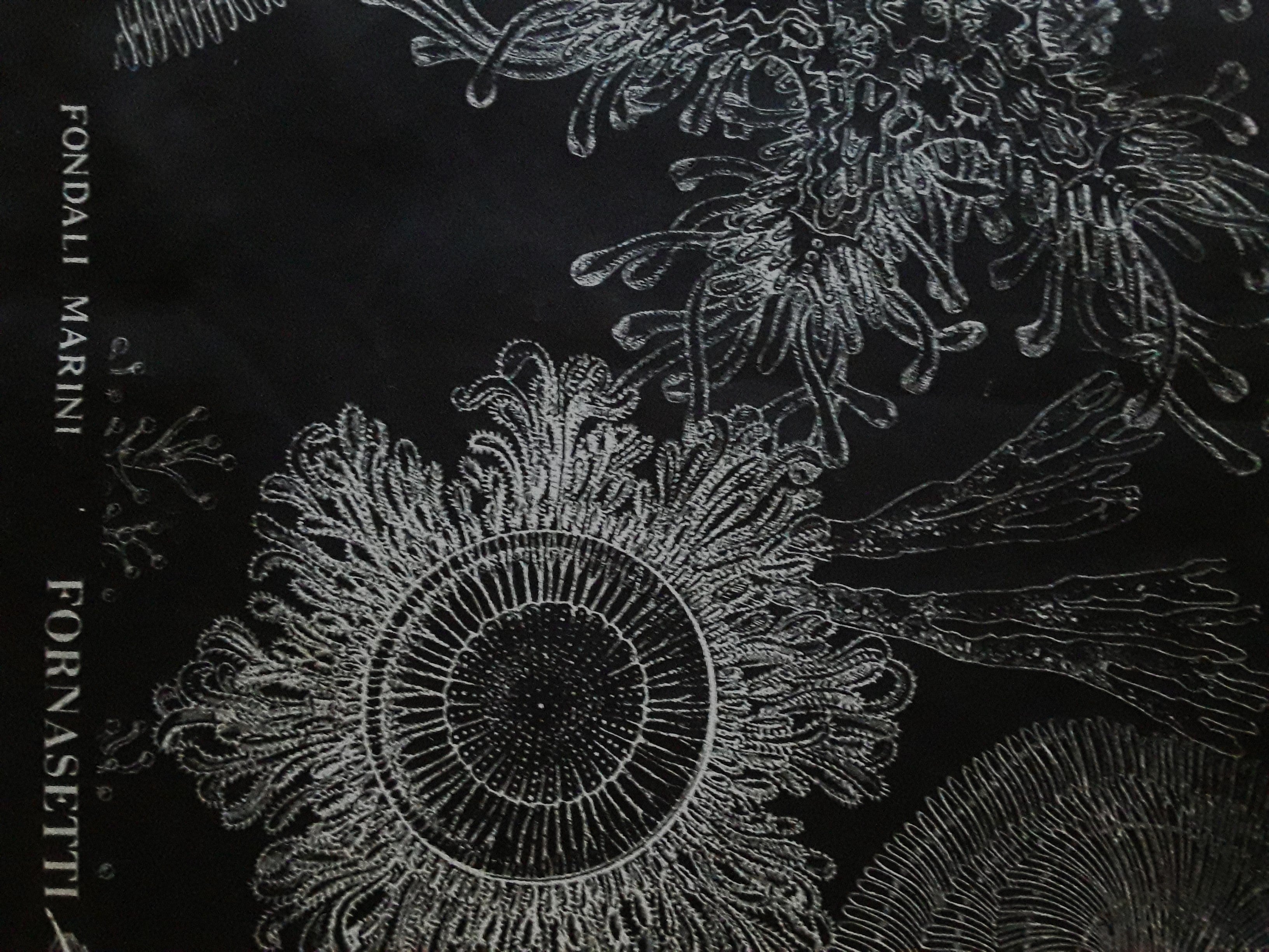 Chair_Deep_in_the_Sea_by_Valerio_Saltarelli_Savi