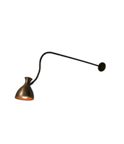 Long_Brass_Wall_Lamp_with_Flexibel_Stem
