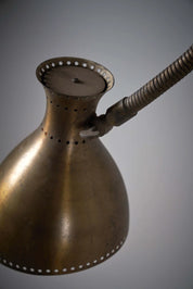 Long_Brass_Wall_Lamp_with_Flexibel_Stem