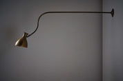 Long_Brass_Wall_Lamp_with_Flexibel_Stem