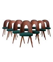 Set_of_10_Mid_Century_Dining_Chairs_by_A._Šuman,_1960s