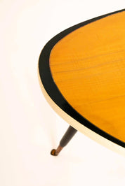 Triangular_Vintage_Coffee_Table_Germany_1950s
