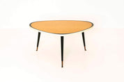 Triangular_Vintage_Coffee_Table_Germany_1950s