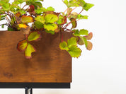 Vintage_huge_solid_teak_planter