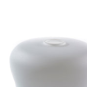 White_Glass_And_Brass_Table_Lamp_By_Osvetlovaci_Sklo_Czechoslovakia_1970s