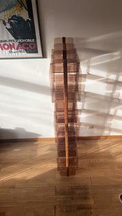 Funky_Plexiglass_Shelf