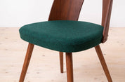 Set_of_10_Mid_Century_Dining_Chairs_by_A._Šuman,_1960s