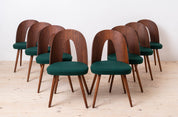 Set_of_10_Mid_Century_Dining_Chairs_by_A._Šuman,_1960s