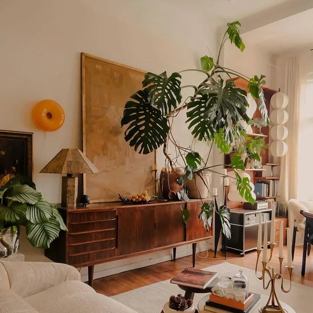 Vintage-living-room-with-plants-and-vintage-decor-items