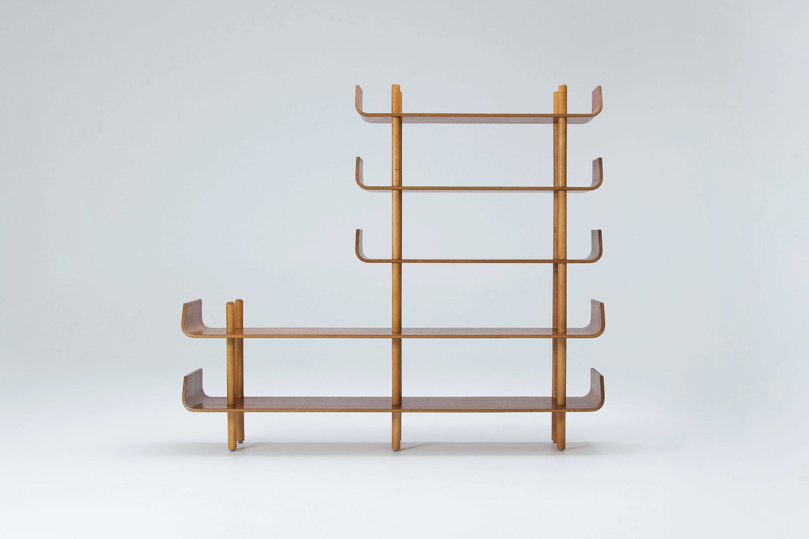 1950s_Bookcase_in_Teak_Plywood_&_Birch_by_Wilhelm_Lutjens