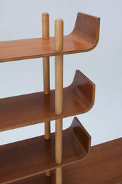 1950s_Bookcase_in_Teak_Plywood_&_Birch_by_Wilhelm_Lutjens