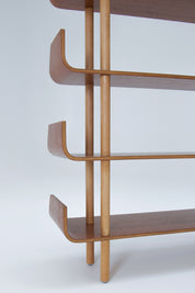 1950s_Bookcase_in_Teak_Plywood_&_Birch_by_Wilhelm_Lutjens