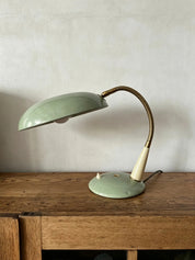 Italian_Gooseneck_Table_Lamp_in_Mint_Green_Enamel_and_Brass,_Italy,_1960s