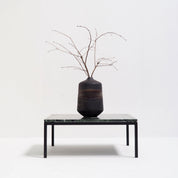 Mid-Century_Modern_Coffee_Table_in_Verdi_Alpi_Green_Marble_and_Black_Metal,_Italy,_1960s