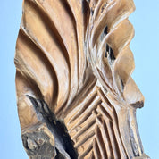 Abstract_Botanical_Sculpture_in_Natural_Ash_Wood,_Italy,_1960s