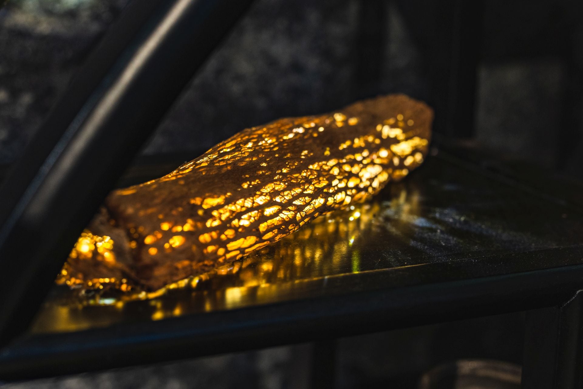 Cactus_Trunk_3_Table_Lamp