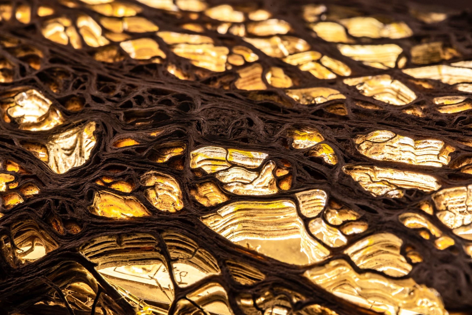 Cactus_Trunk_3_Table_Lamp