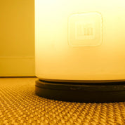 Boletus_Outdoor_Floor_Lamp_by_Jorge_Pensi_for_B.Lux,_Contemporary_Design,_2006,_Spain