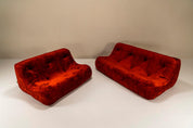 Set_of_Kali_Three_Seater_and_Two_Seater_Sofa_by_Michel_Ducaroy_1970s_France
