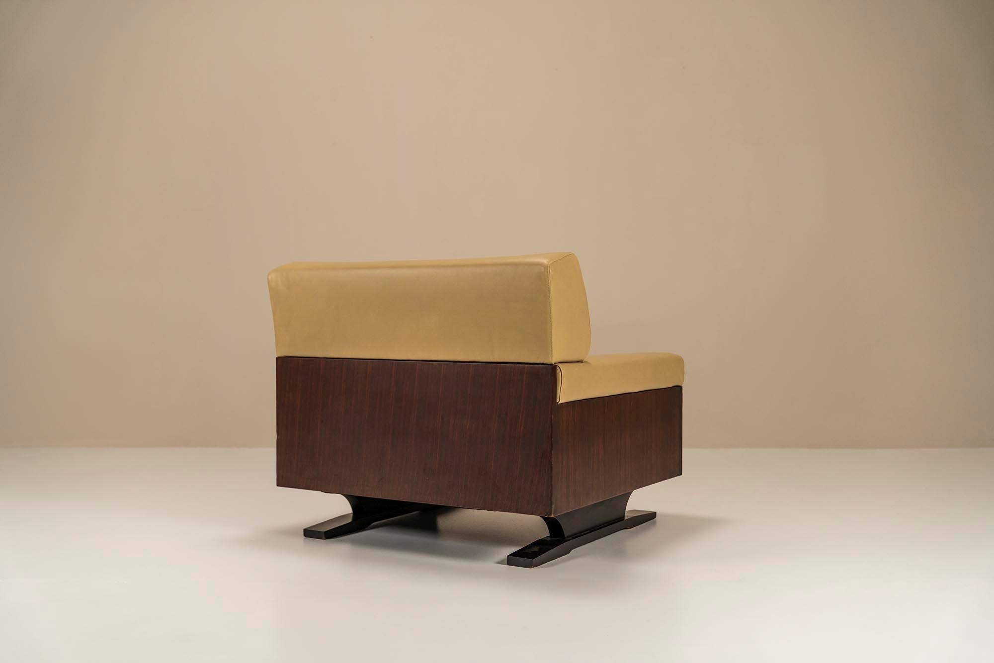 Set_of_2_Large_Lounge_Chairs_in_Aniline_Leather_and_Rosewood_1960s_Italy