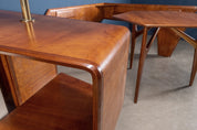 Vintage_Living_Room_Furniture_Unique_Piece_Mahogany_Veneer_1950s