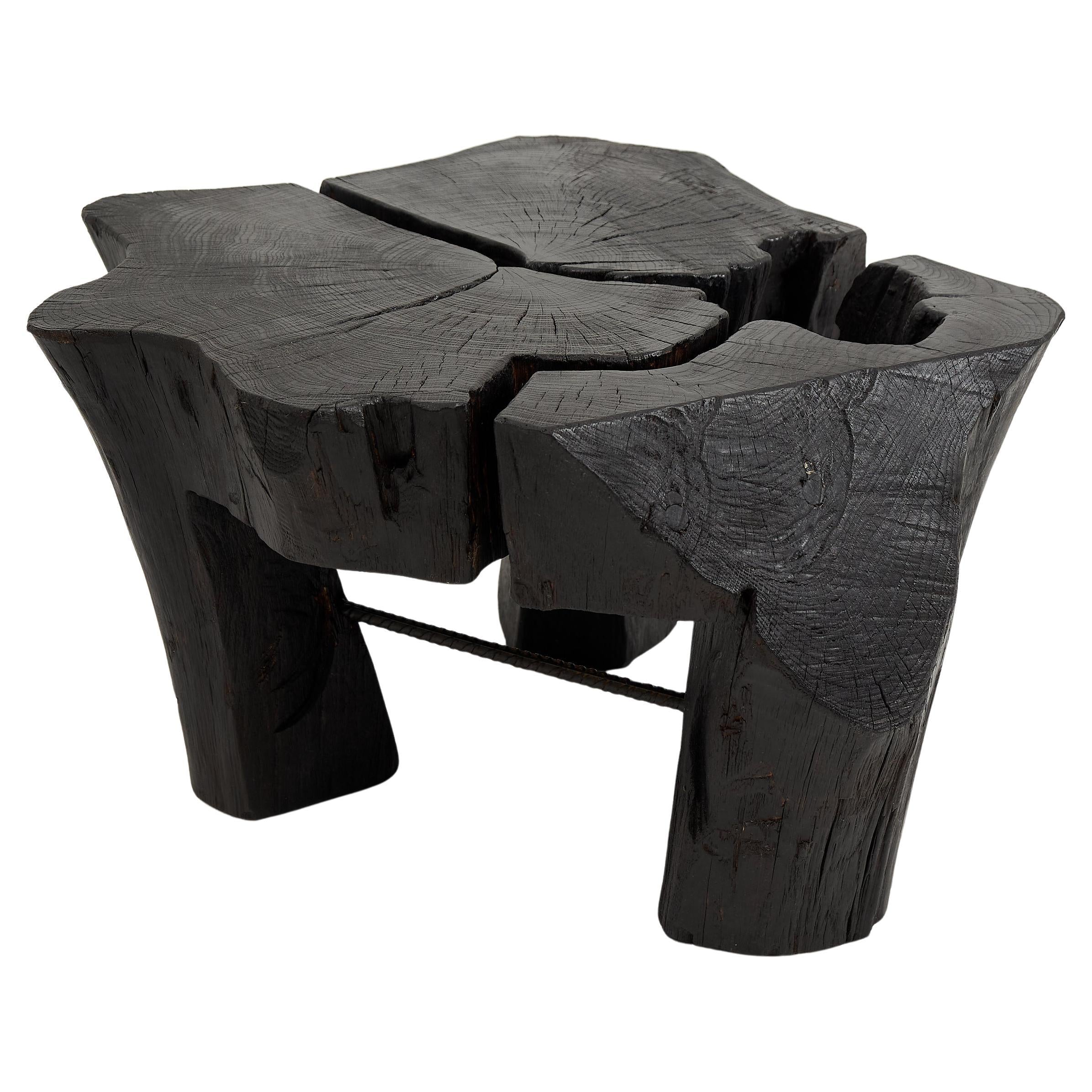 Logniture,_Rustic_Sculptural_Coffee_Table,_Burnt_Black_Oak_Wood