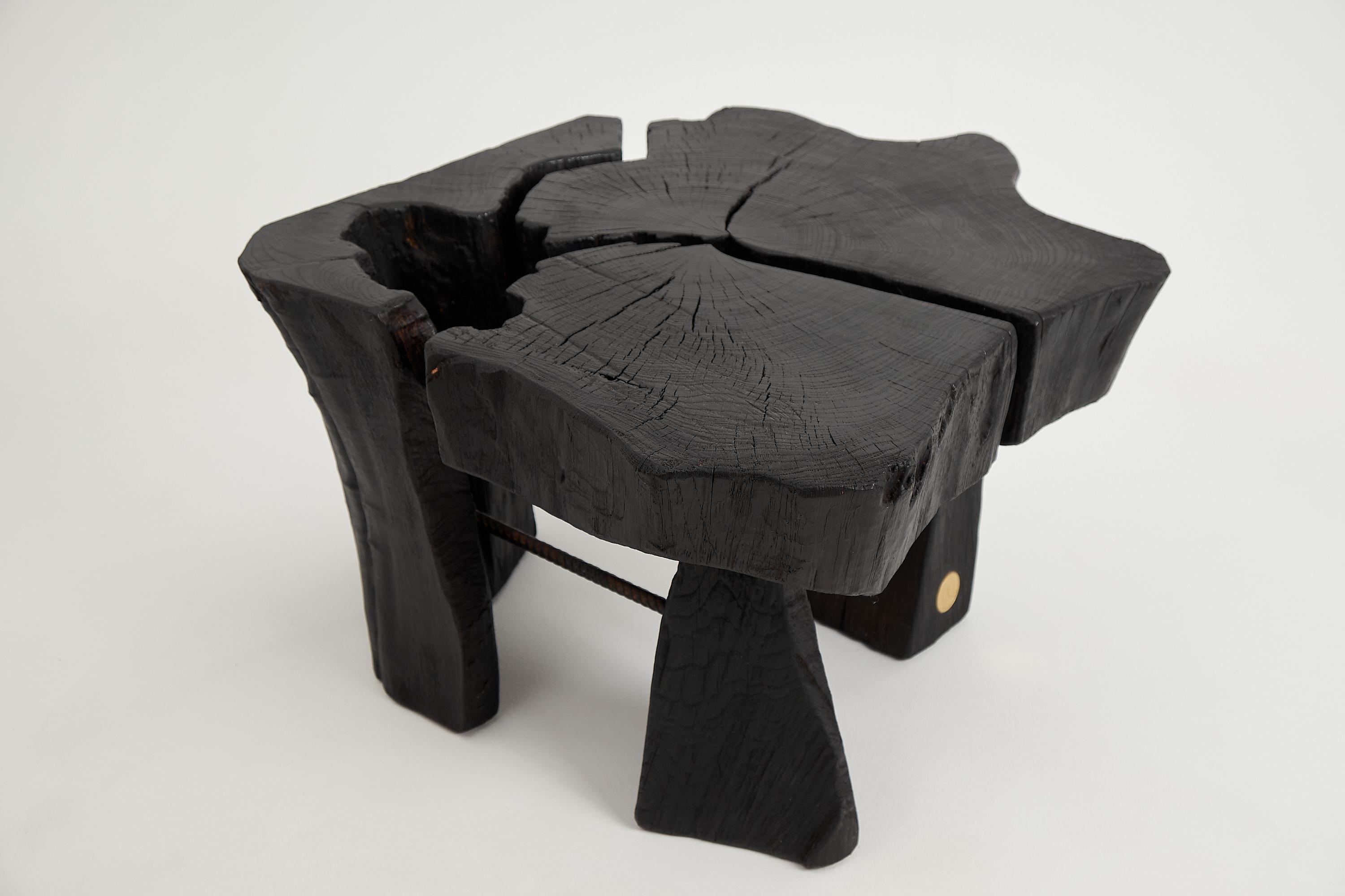 Logniture,_Rustic_Sculptural_Coffee_Table,_Burnt_Black_Oak_Wood