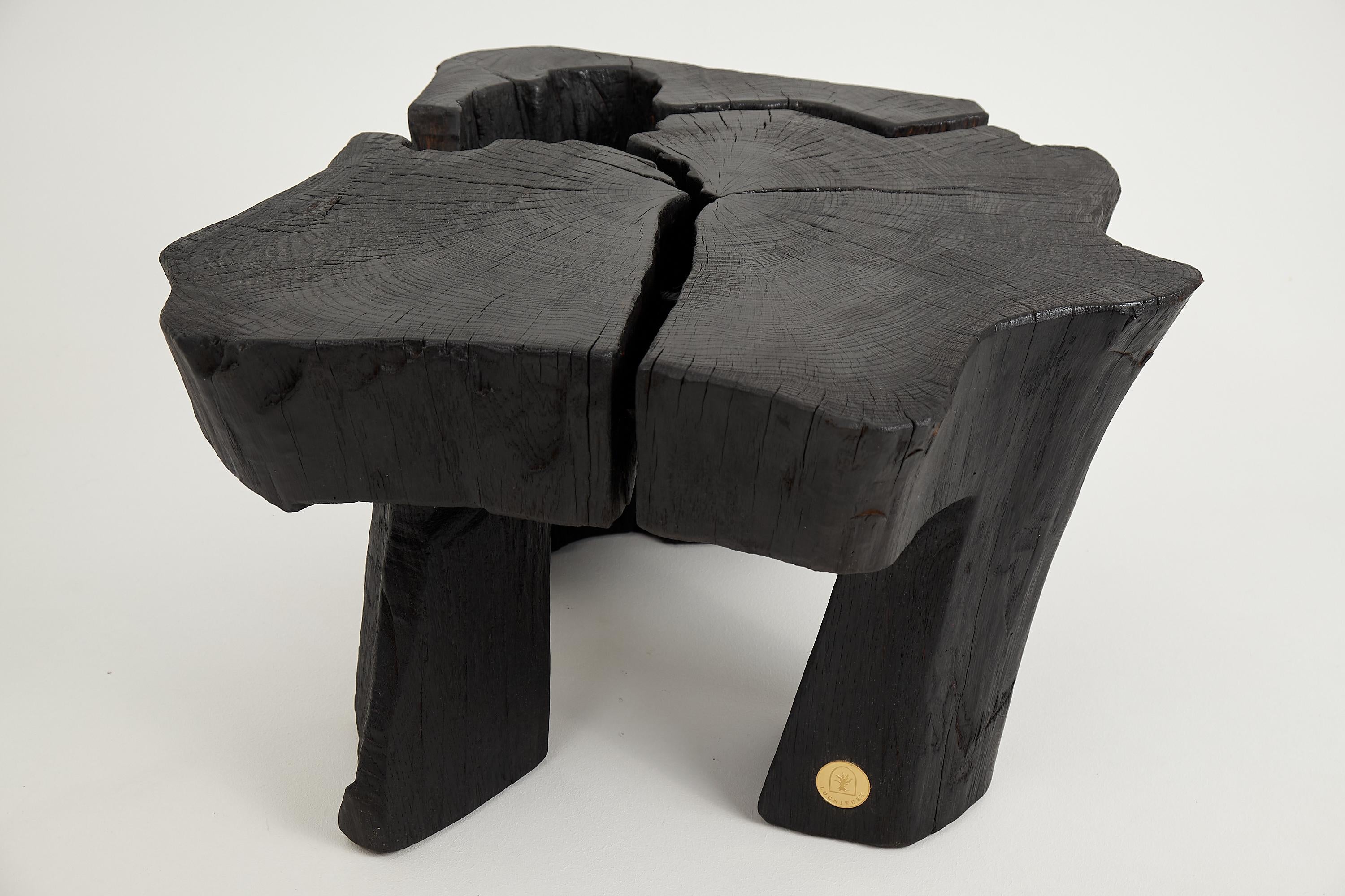 Logniture,_Rustic_Sculptural_Coffee_Table,_Burnt_Black_Oak_Wood