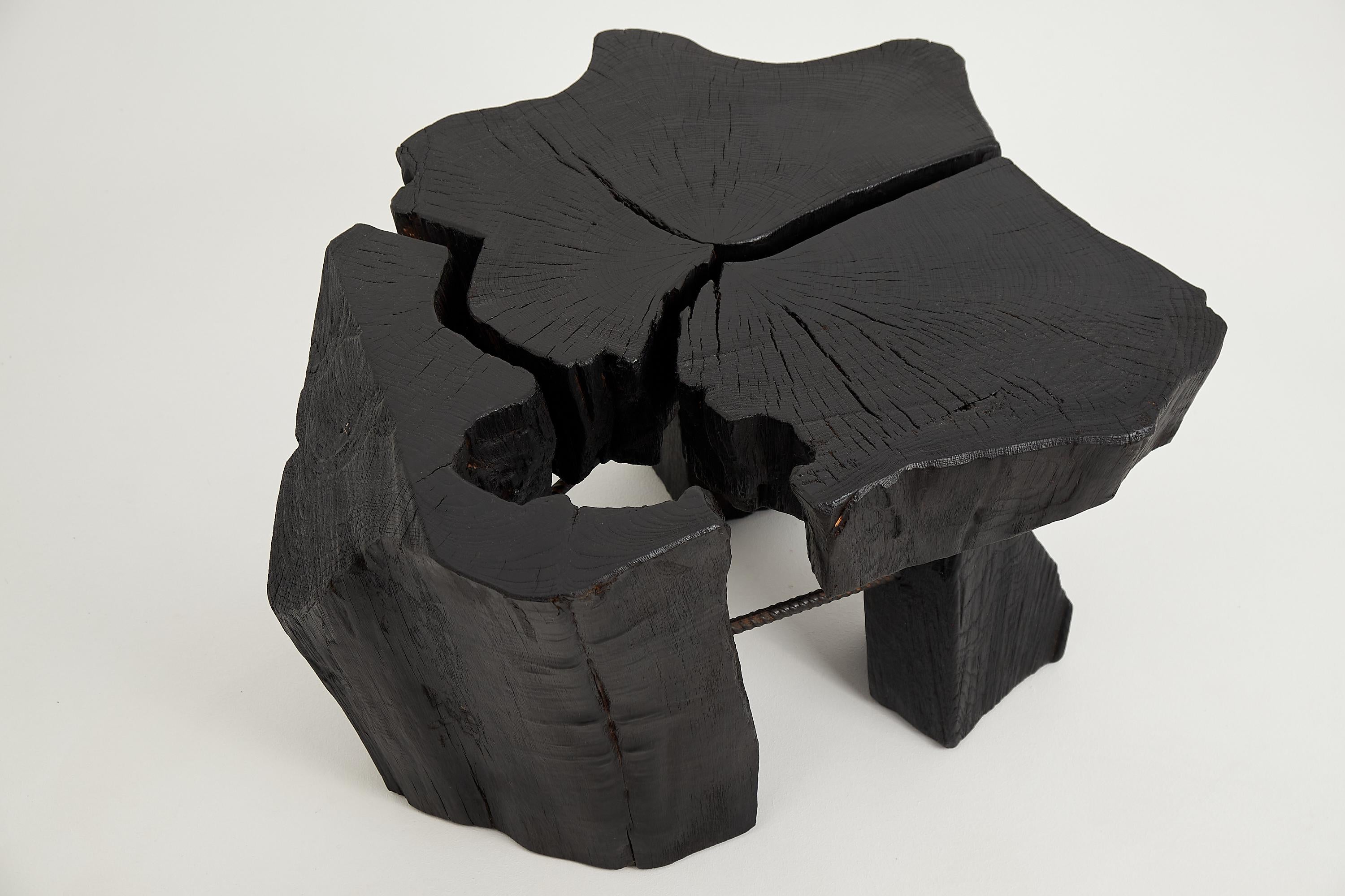 Logniture,_Rustic_Sculptural_Coffee_Table,_Burnt_Black_Oak_Wood
