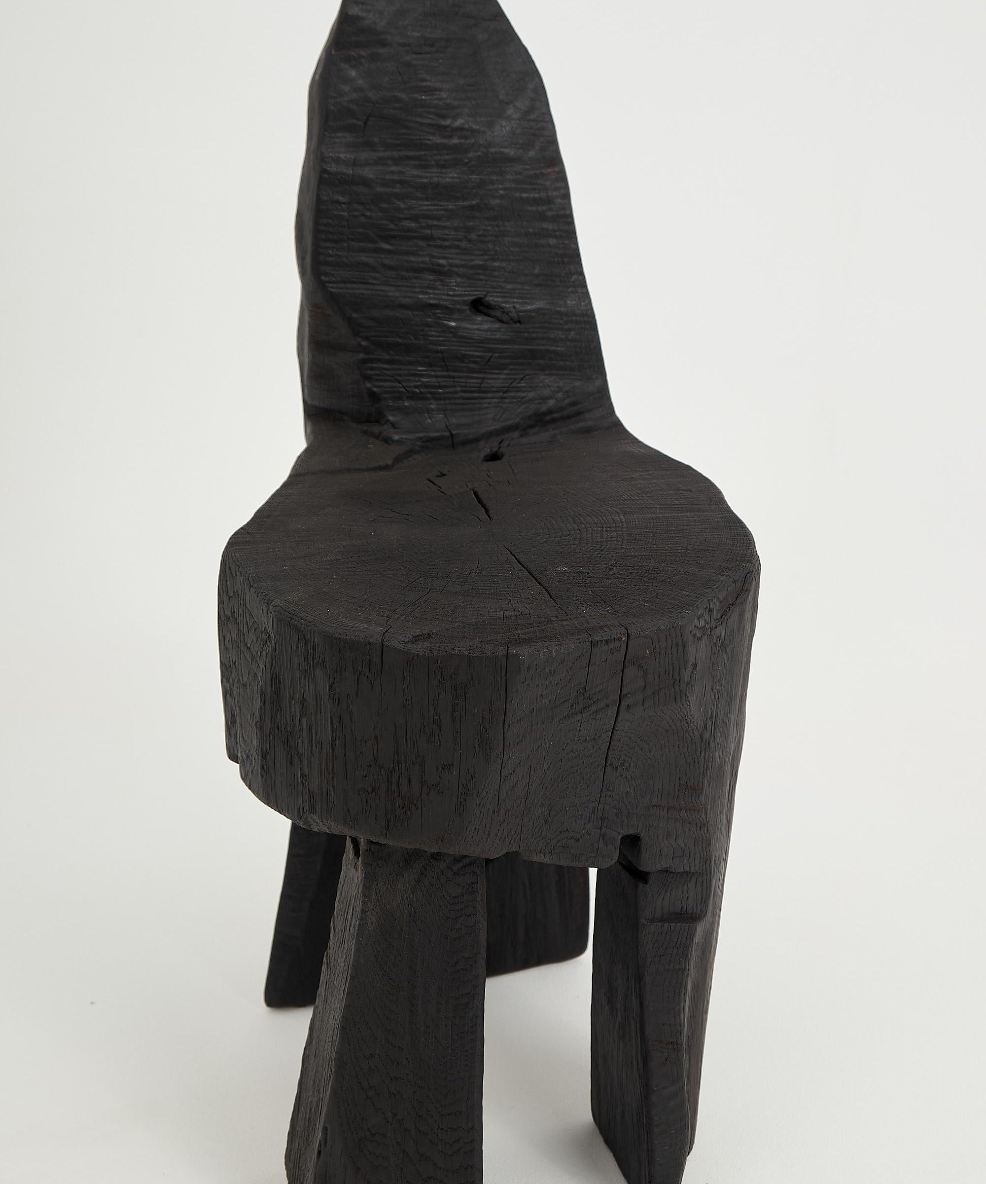 1,_Jownik