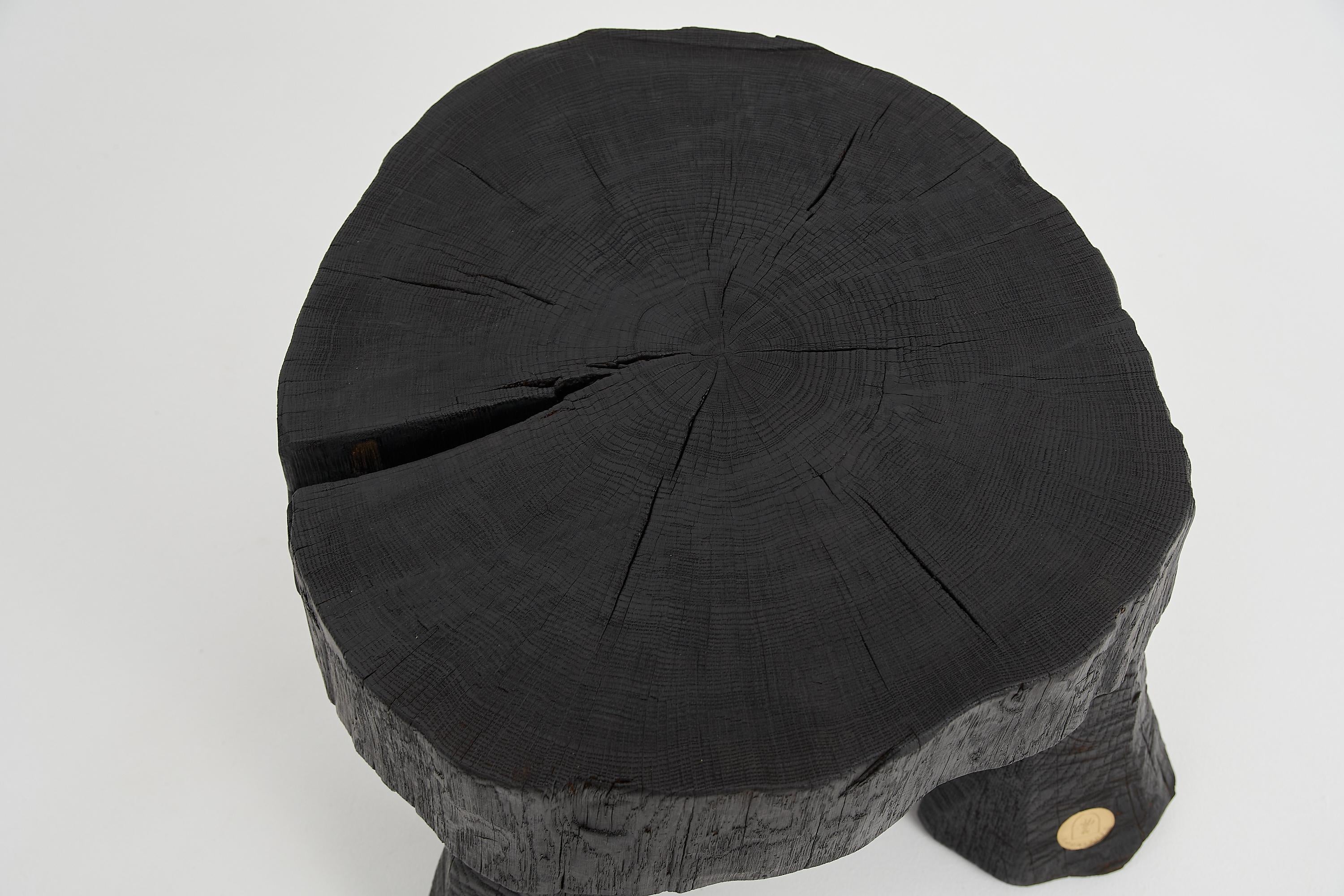 Logniture,_Rustic_Sculptural_Coffee_Table,_Burnt_Black_Oak_Wood