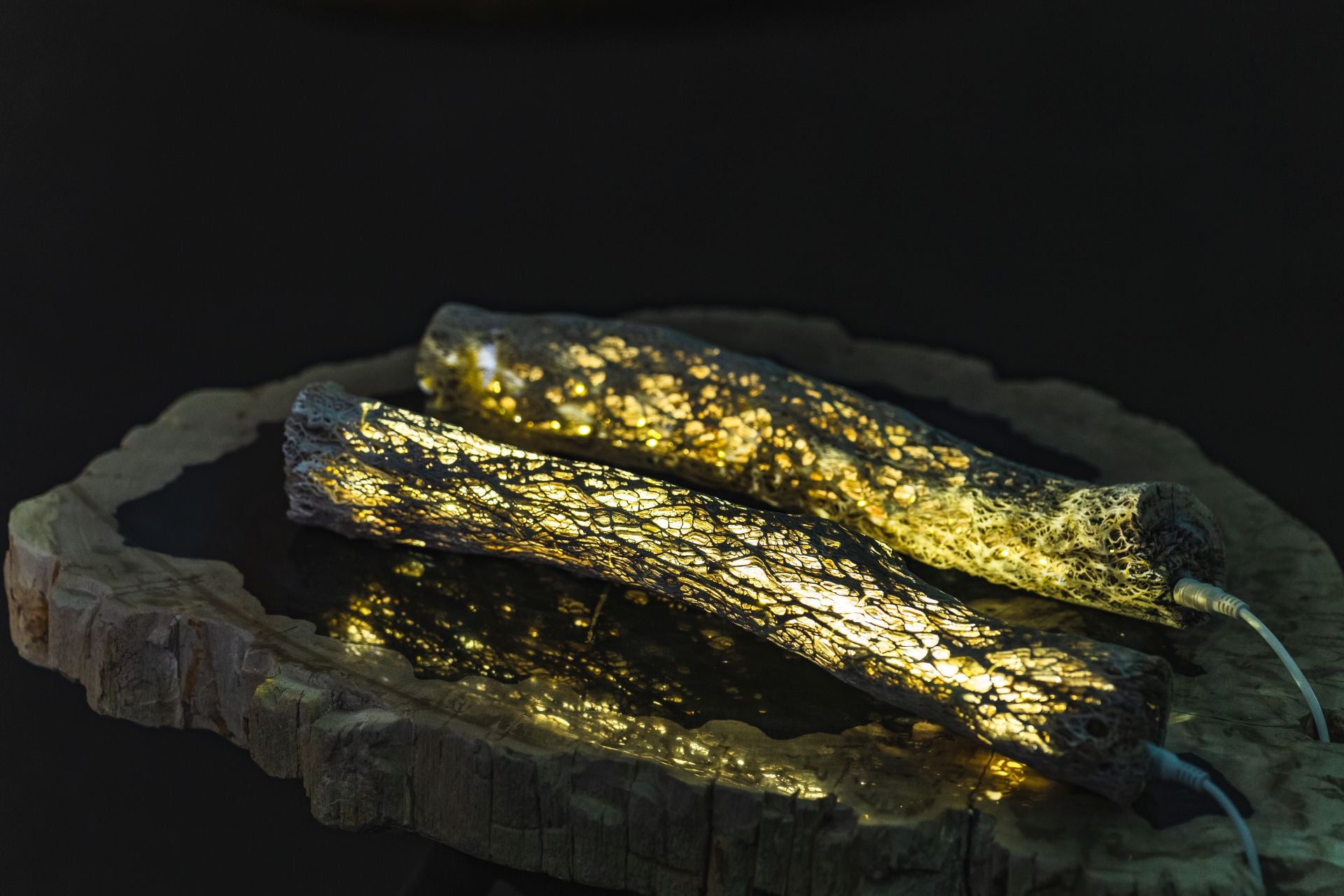 Caktus_trunk_2_Table_Lamp