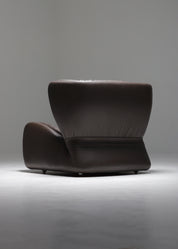 Pasha_Lounge_Chair_by_Durlet,_Sculptural_One-Seat_Sofa,_1970s