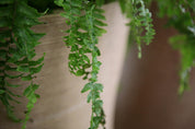 Image at position 5