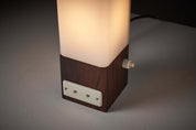 Table_Lamp,_Artiforte,_Rosewood,_1960s,_Netherlands