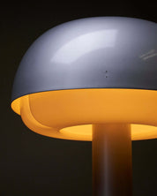Portable_Floor_Lamp,_by_Enrique_Franch_for_Metalarte,_Lacquered_Metal_&_Plexi,_Spain