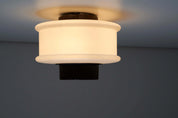 Ceiling_Art_Deco_Fixture_Lamp,_Metal_&_Glass,_1950s,_Europe