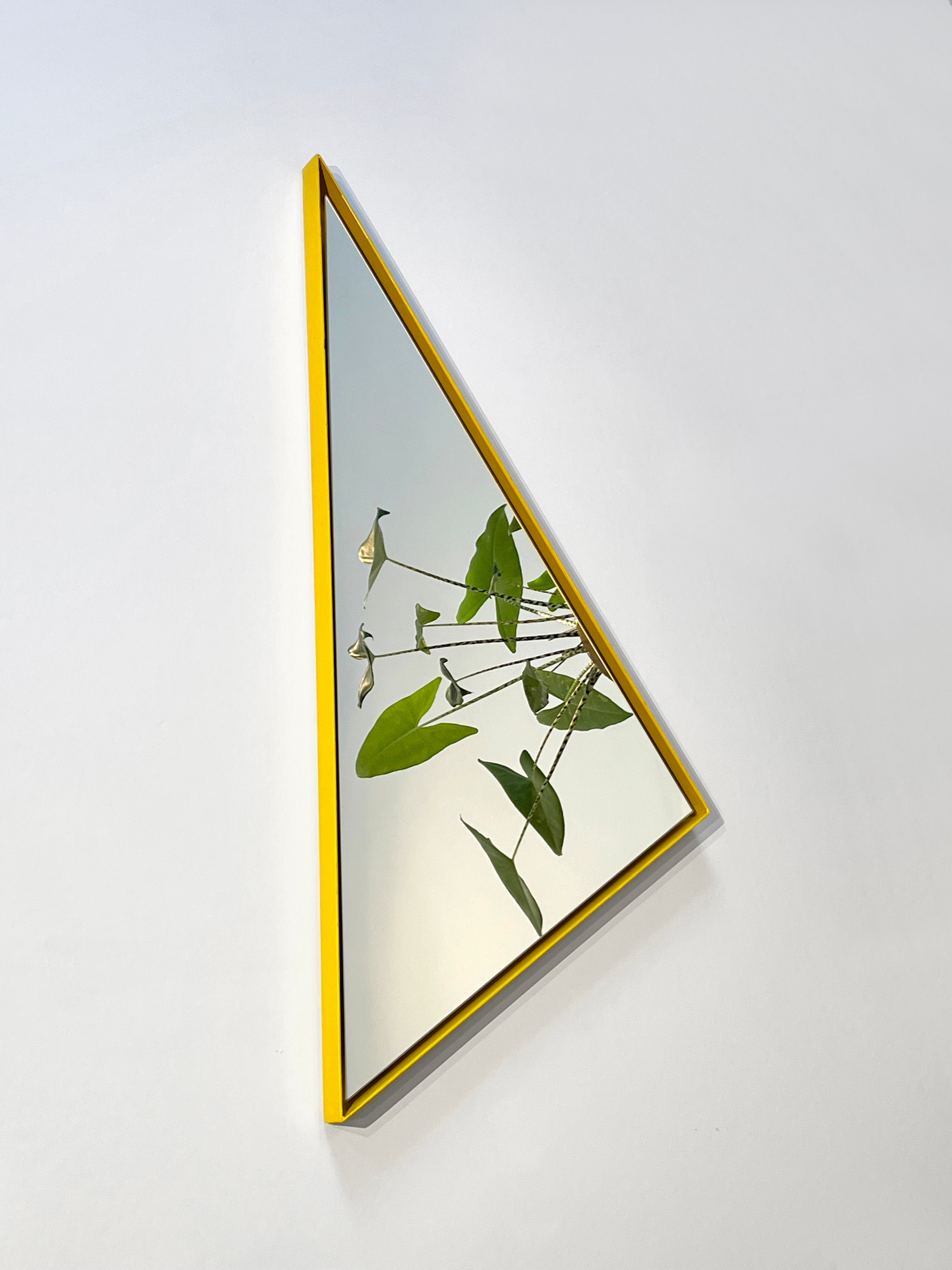 Image at position 3