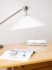 Aggregate_Table_Lamp_by_Enzo_Mari_and_Giancarlo_Fassina_for_Artemide