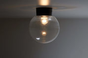 Black_Clear_Sphere_Wall_or_ceiling_Fixture
