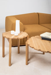 Brown_Saler_Sofa_with_2-seater
