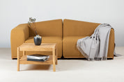 Brown_Saler_Sofa_with_2-seater
