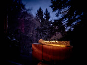 Cactus_Trunk_lamp