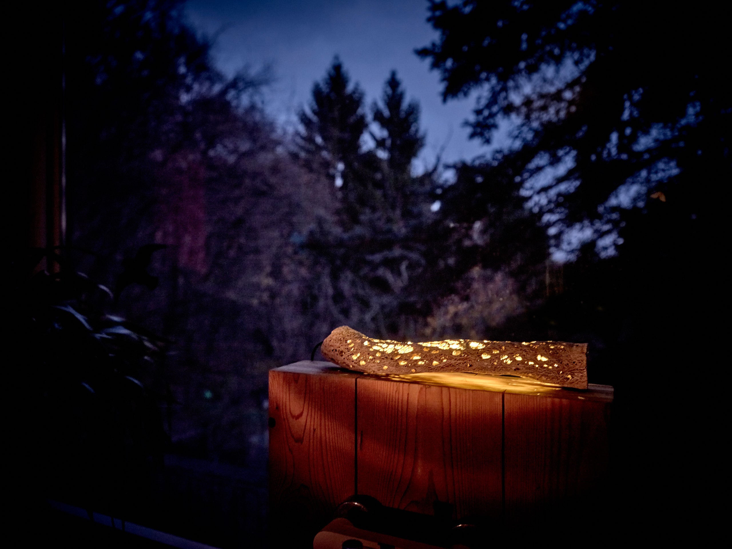 Cactus_Trunk_lamp