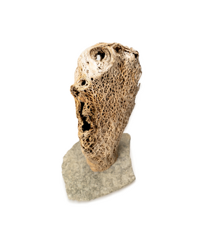 Chest_Table_Lamp