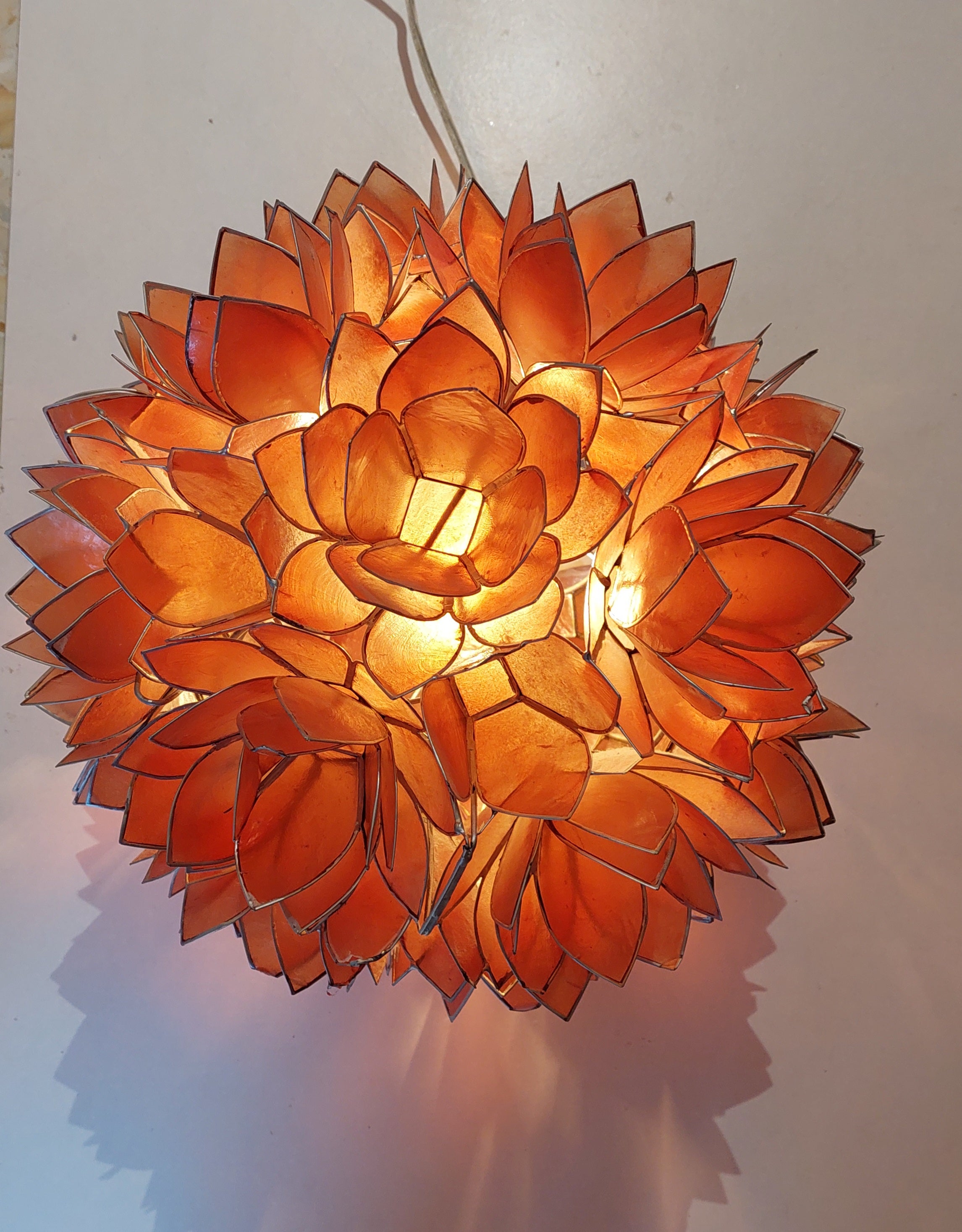 Coral__Cadiz_Shell__Mid_Century_Ceiling_Light_made_in_Germany_by_Rausch