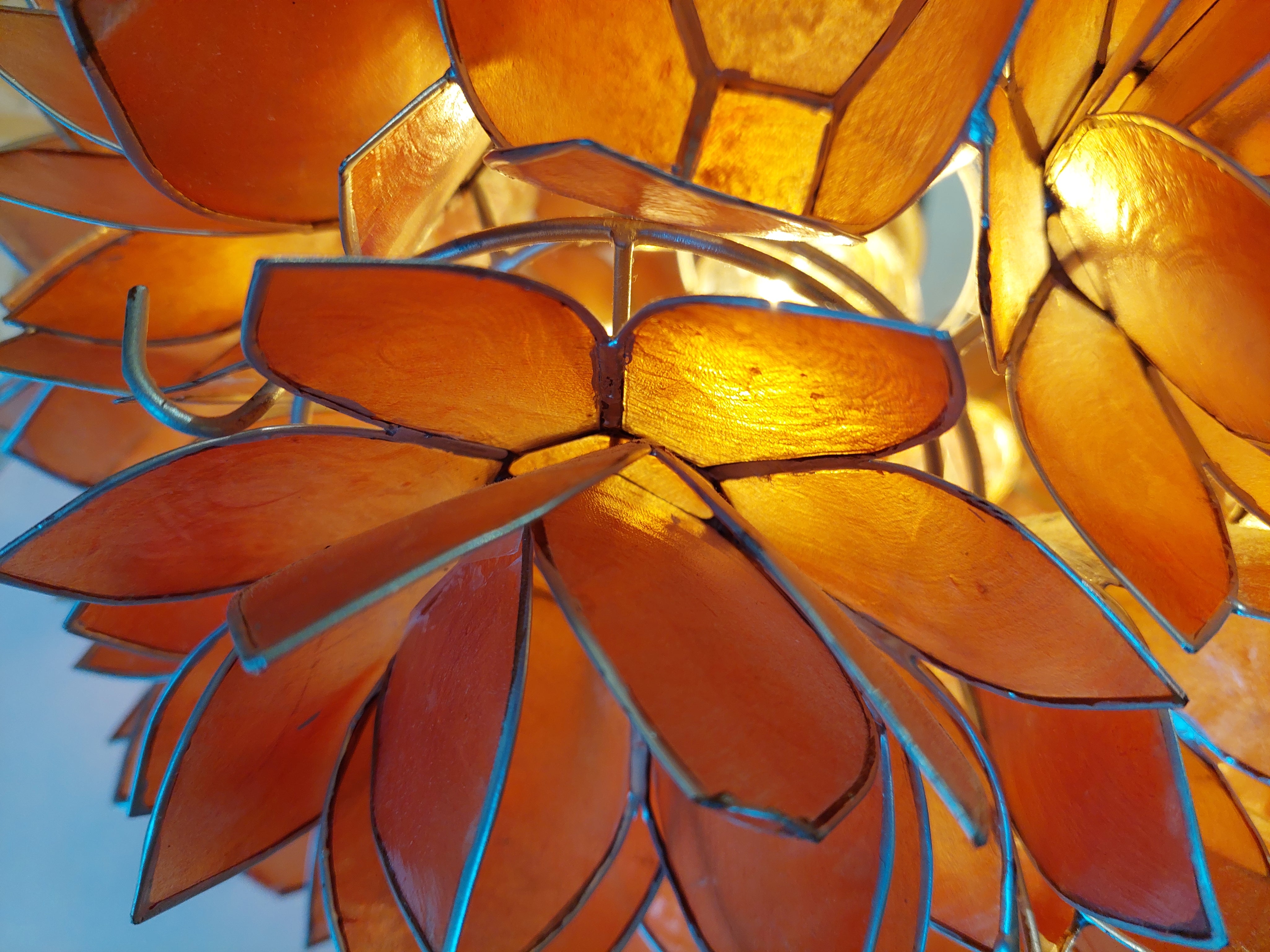 Coral__Cadiz_Shell__Mid_Century_Ceiling_Light_made_in_Germany_by_Rausch