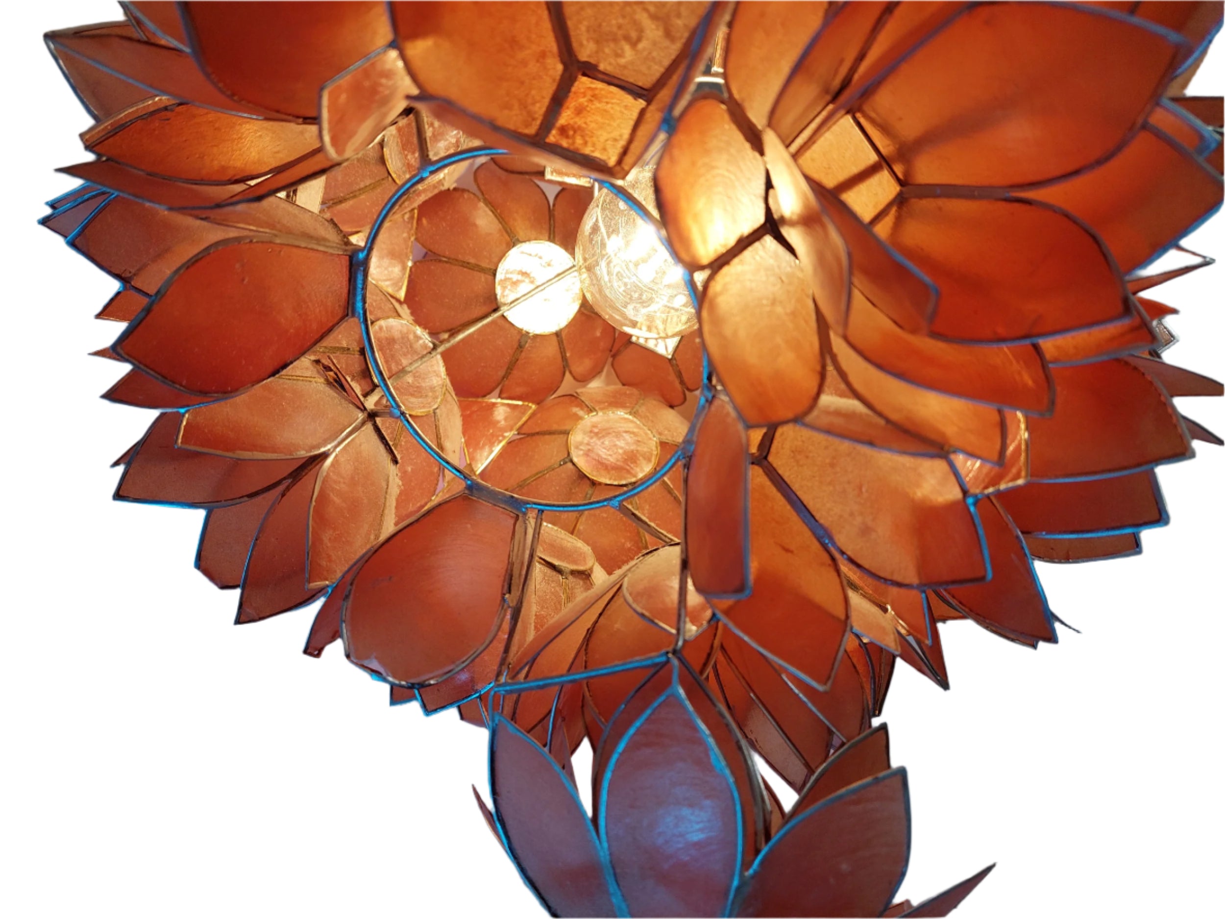 Coral__Cadiz_Shell__Mid_Century_Ceiling_Light_made_in_Germany_by_Rausch