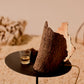 Crown_Table_Lamp_Avocado_Barck_collection_1